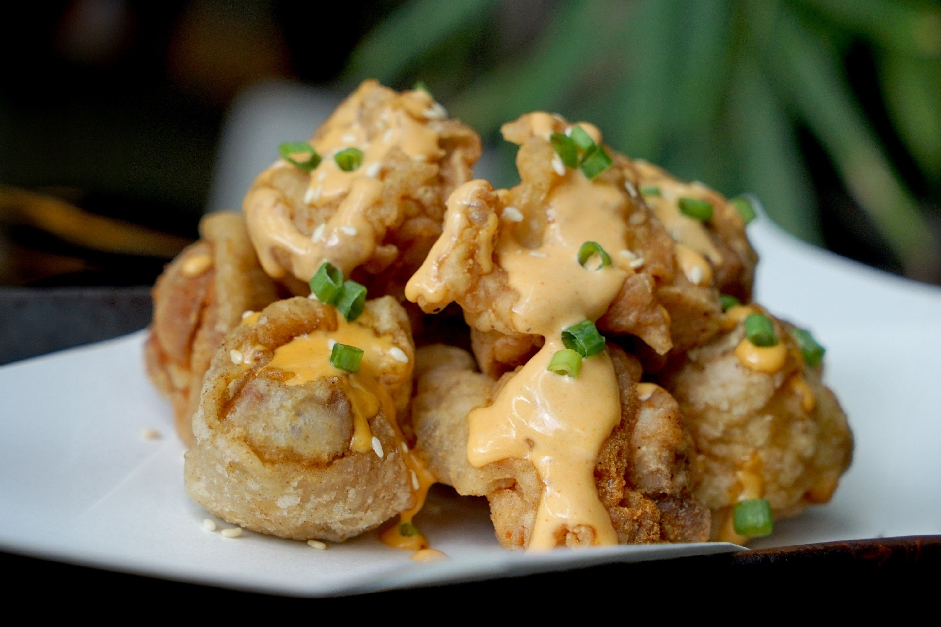 4.oneoktoberfest_Chicken karaage 4.jpg